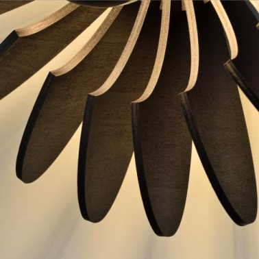 ACB ROSA DEL DESIERTO APLIQUE/PLAFÓN NEGRO Ø60