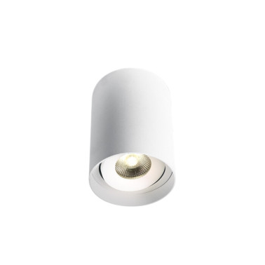 ONE LIGHT Plafón Led Orientable 10w