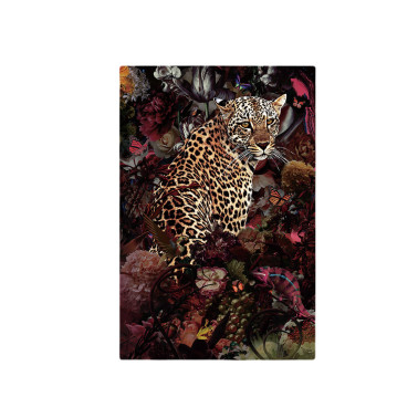 SCHULLER LEOPARDO Fotografía 80x120