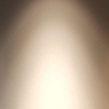 FARO LANTAU L DC LED Ventilador Níquel-Pino