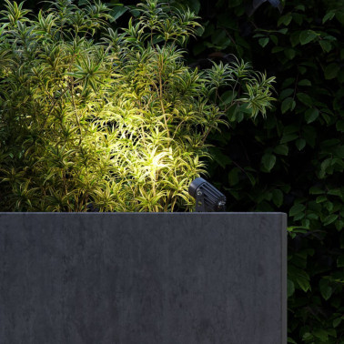 BENEITO FAURE ZAS Round Estaca Negro 2200K