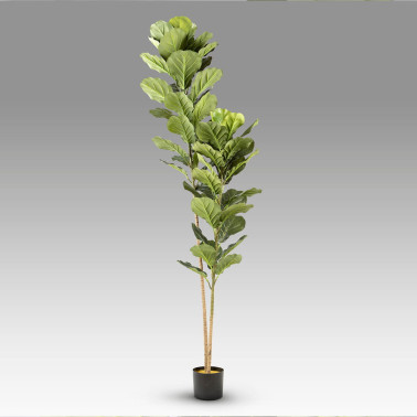 SCHULLER HIGUERA VIOLIN Planta Artificial H200