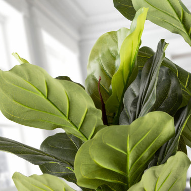 SCHULLER HIGUERA VIOLIN Planta Artificial H200