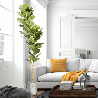 SCHULLER HIGUERA VIOLIN Planta Artificial H200