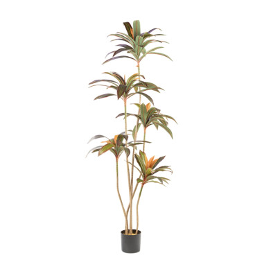 SCHULLER DRACENA ROJA Planta Artificial H220