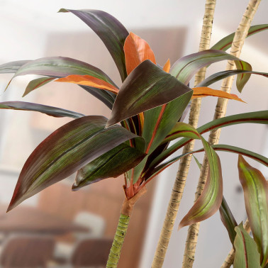 SCHULLER DRACENA ROJA Planta Artificial H220