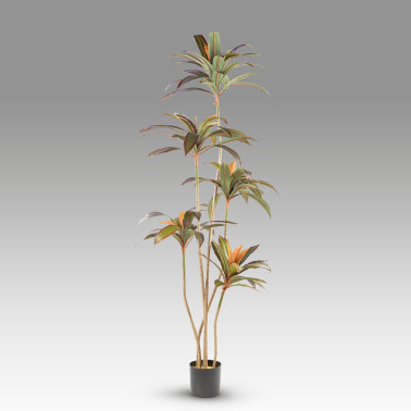 SCHULLER DRACENA ROJA Planta Artificial H220