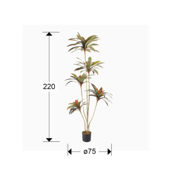 SCHULLER DRACENA ROJA Planta Artificial H220