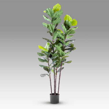 SCHULLER HIGUERA VIOLIN Planta Artificial H250