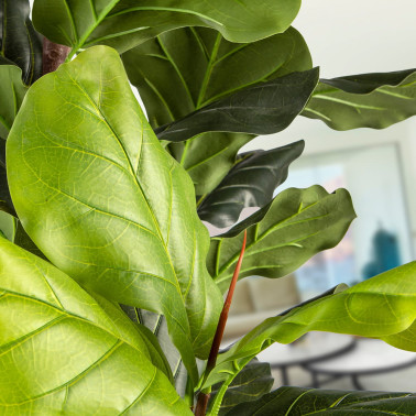 SCHULLER HIGUERA VIOLIN Planta Artificial H250