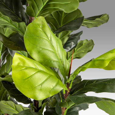 SCHULLER HIGUERA VIOLIN Planta Artificial H250