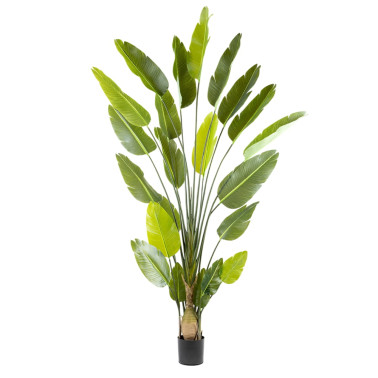 SCHULLER AVE PARAÍSO Planta Artificial H250