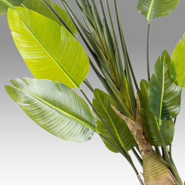 SCHULLER AVE PARAÍSO Planta Artificial H250