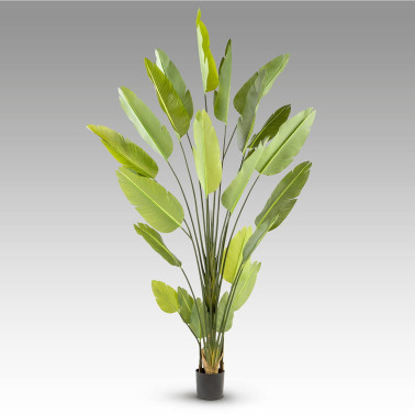 SCHULLER AVE PARAÍSO Planta Artificial H250