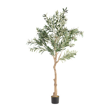 SCHULLER OLIVO Planta Artificial H180