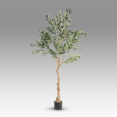 SCHULLER OLIVO Planta Artificial H180
