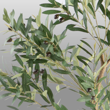 SCHULLER OLIVO Planta Artificial H180