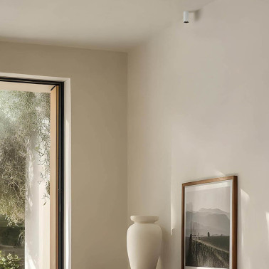 FARO FOX Plafón/Foco Blanco 5W 2700K 36º